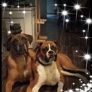 Meet your Posher, Lyndy